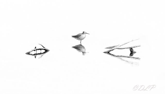 Photo (high key) d'art minimaliste